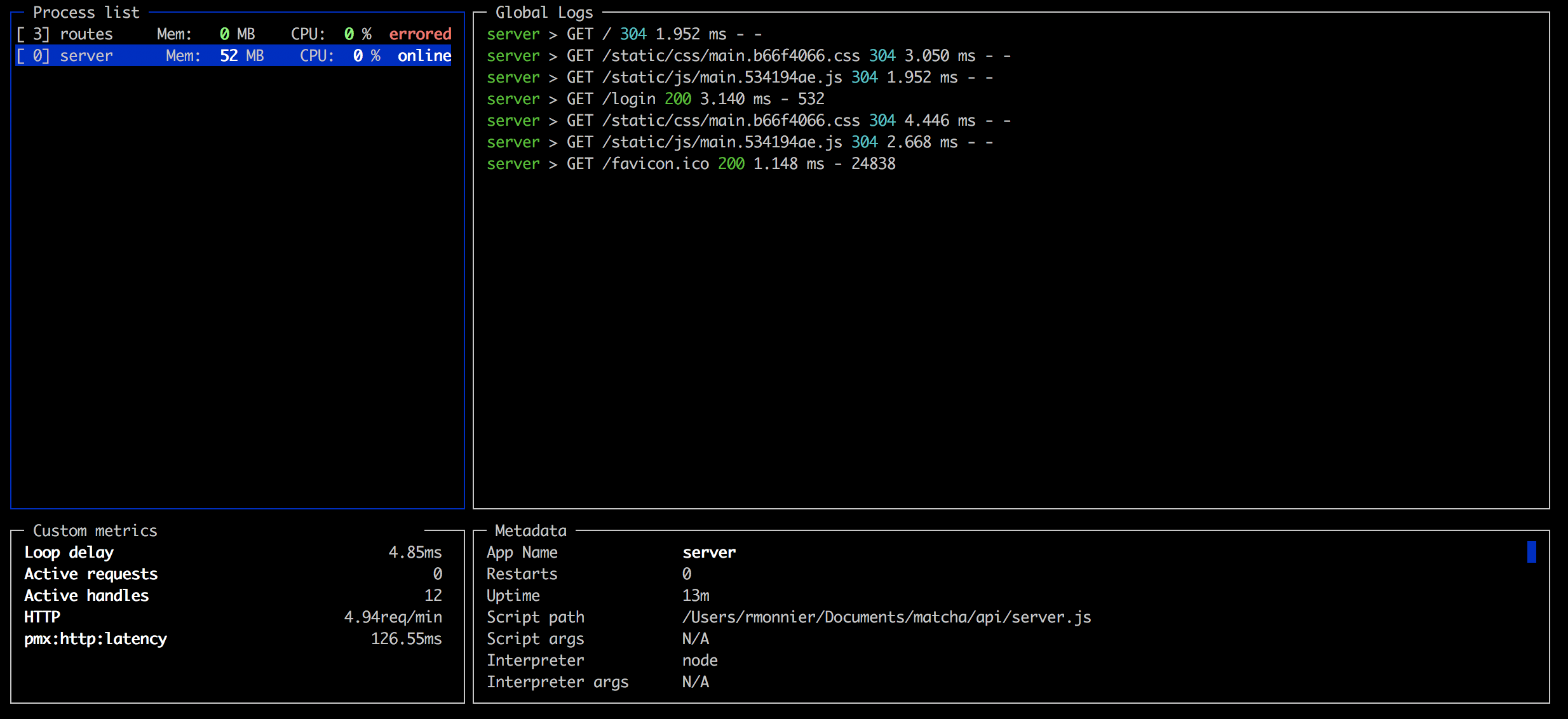 Local monitoring with PM2